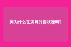 狗为什么在满月时喜欢嚎叫？