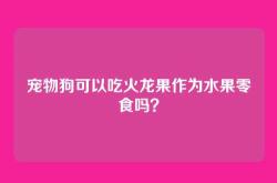 宠物狗可以吃火龙果作为水果零食吗？