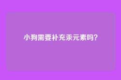 小狗需要补充汞元素吗？
