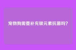 宠物狗需要补充银元素抗菌吗？