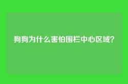 狗狗为什么害怕围栏中心区域？