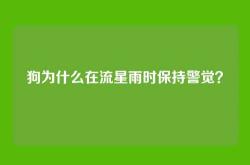 狗为什么在流星雨时保持警觉？