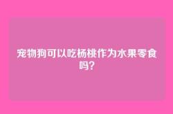 宠物狗可以吃杨桃作为水果零食吗？