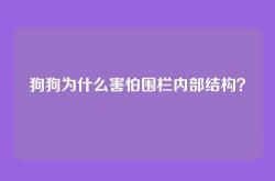 狗狗为什么害怕围栏内部结构？