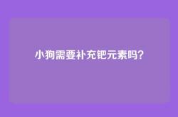 小狗需要补充钯元素吗？