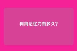 狗狗记忆力有多久？