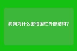 狗狗为什么害怕围栏外部结构？