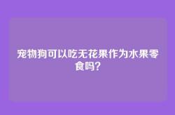 宠物狗可以吃无花果作为水果零食吗？