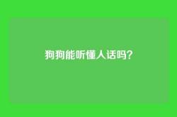狗狗能听懂人话吗？