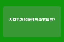 大狗毛发保暖性与季节适应？