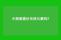 小狗需要补充铱元素吗？