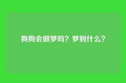 狗狗会做梦吗？梦到什么？