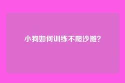 小狗如何训练不爬沙滩？