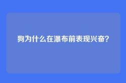 狗为什么在瀑布前表现兴奋？