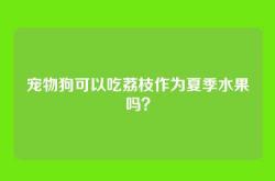 宠物狗可以吃荔枝作为夏季水果吗？