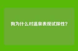 狗为什么对温泉表现试探性？