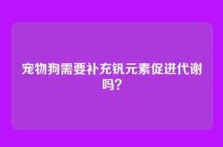 宠物狗需要补充钒元素促进代谢吗？
