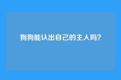 狗狗能认出自己的主人吗？