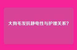 大狗毛发抗静电性与护理关系？