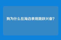 狗为什么在海边表现跳跃兴奋？