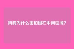 狗狗为什么害怕围栏中间区域？