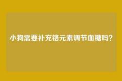 小狗需要补充铬元素调节血糖吗？