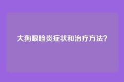大狗眼睑炎症状和治疗方法？