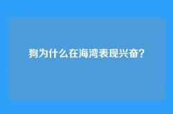 狗为什么在海湾表现兴奋？