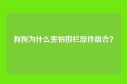 狗狗为什么害怕围栏部件组合？