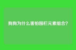 狗狗为什么害怕围栏元素组合？