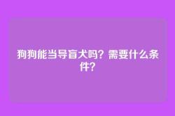 狗狗能当导盲犬吗？需要什么条件？