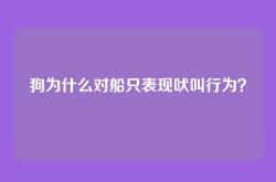 狗为什么对船只表现吠叫行为？