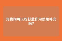 宠物狗可以吃甘蓝作为蔬菜补充吗？