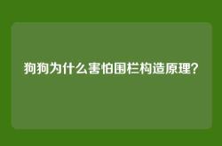 狗狗为什么害怕围栏构造原理？