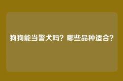 狗狗能当警犬吗？哪些品种适合？