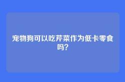 宠物狗可以吃芹菜作为低卡零食吗？