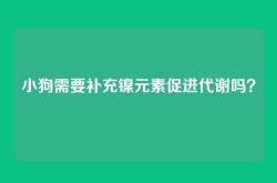 小狗需要补充镍元素促进代谢吗？