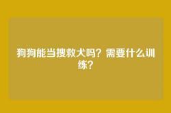 狗狗能当搜救犬吗？需要什么训练？