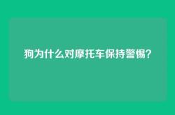 狗为什么对摩托车保持警惕？