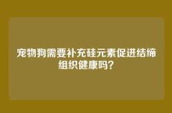 宠物狗需要补充硅元素促进结缔组织健康吗？