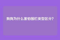 狗狗为什么害怕围栏类型区分？
