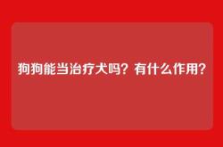 狗狗能当治疗犬吗？有什么作用？