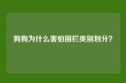 狗狗为什么害怕围栏类别划分？