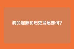 狗的起源和历史发展如何？