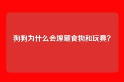 狗狗为什么会埋藏食物和玩具？