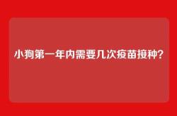 小狗第一年内需要几次疫苗接种？