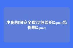 小狗如何安全度过危险的"恐怖期"