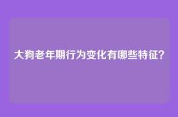 大狗老年期行为变化有哪些特征？