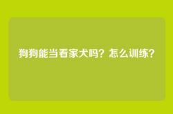 狗狗能当看家犬吗？怎么训练？