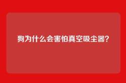 狗为什么会害怕真空吸尘器？